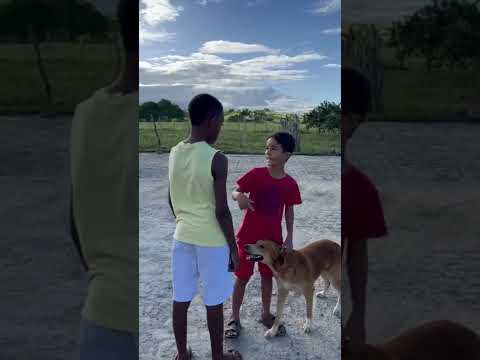 Ele foi bater em Jander veja o que aconteceu