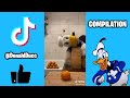 Donald Ducc Season 1 All Episodes