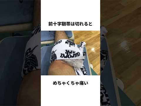 前十字靱帯について詳しく解説