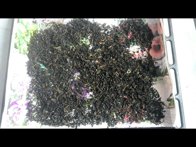 Youtube Video Youtube Video