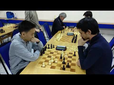 Профессиональная лига блица