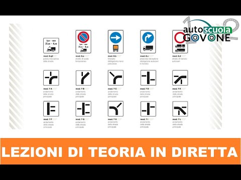 Pannelli integrativi - LEZIONI DI TEORIA IN DIRETTA