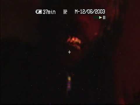 Ascrime RestInPeace - Moove Out (visualizer) Shot by Sisco