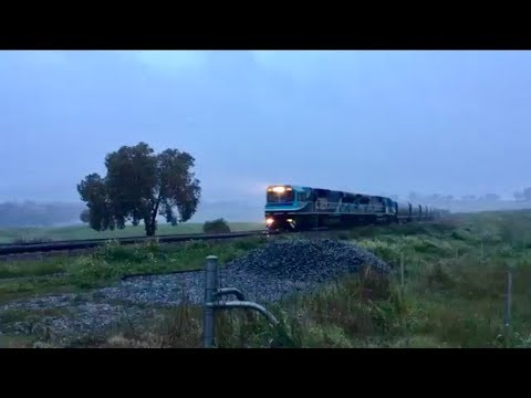 Australian Trains 51 - CBH003 and CBH010 in the gloom and rain