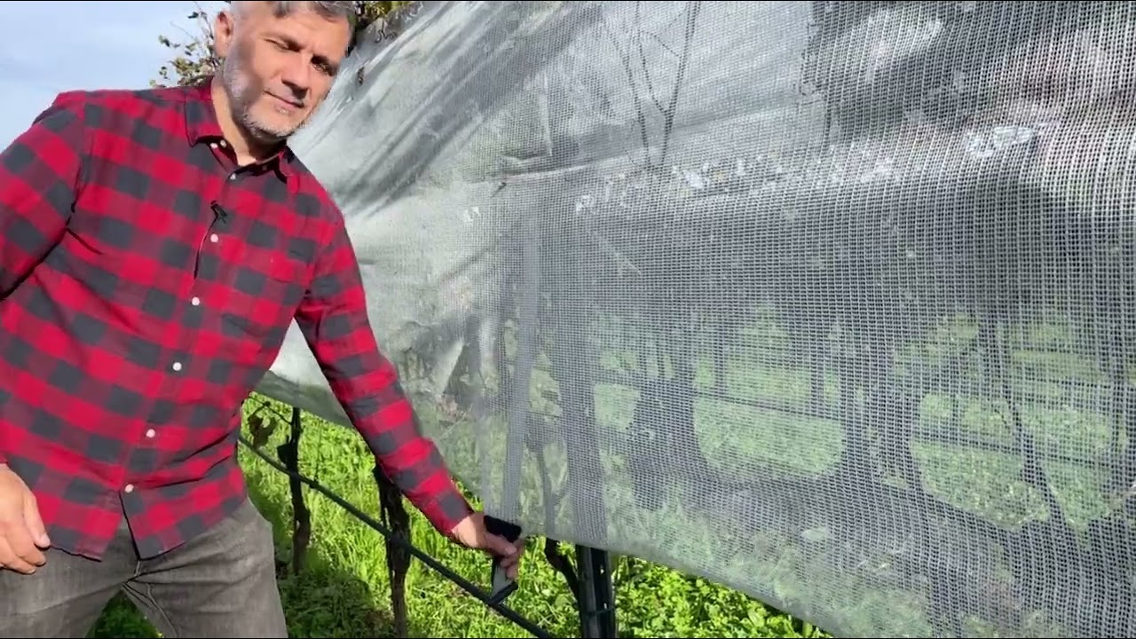 Shading nets: a multifunctional tool to protect against hazards in viticulture