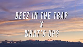 Download lagu Nicki Minaj, 4 Non Blondes - Beez In The Trap X What’s Up? (TikTok Mashup) [Lyrics] mp3