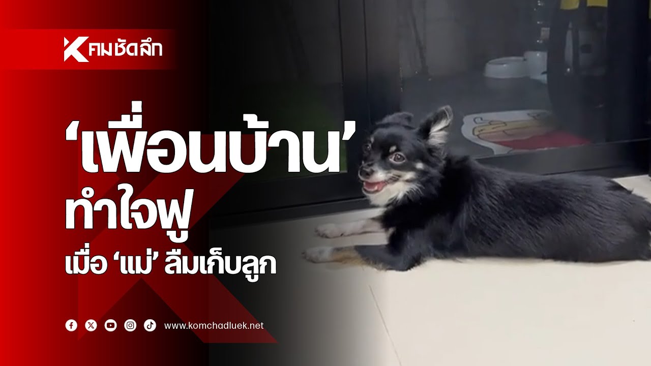 ชื่นชม! เพื่อนบ้านใส่ใจ เมื่อ 'แม่' ลืมเก็บลูก