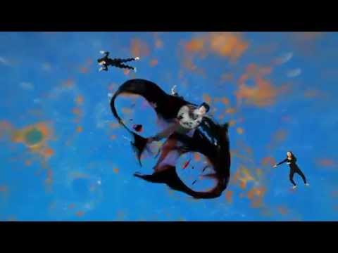 Dustin Wong & Takako Minekawa - Aether Curtain (Official Music Video)
