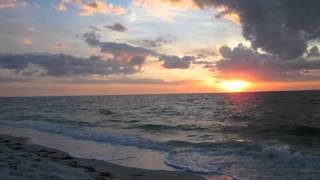 Lonely- The Middle East