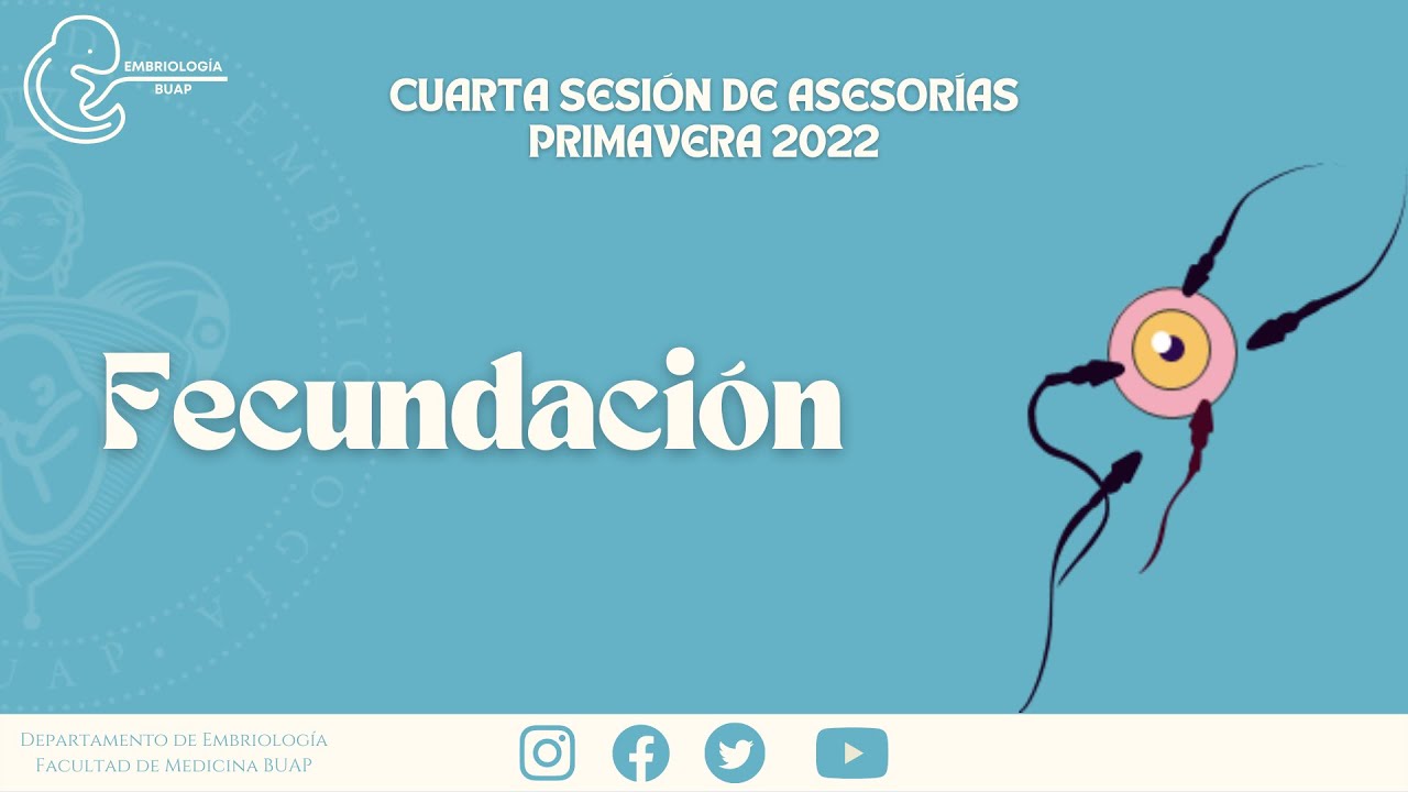 FECUNDACIÓN I Laboratorio de Embriología BUAP