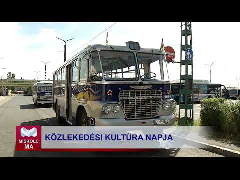Videó előnézet