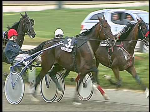 Trotto 09/06/2016 - 7° corsa