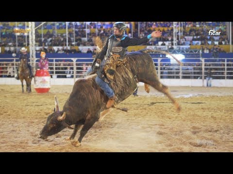 FICAR Rodeo of Assis 2019 - GOLD COWBOY