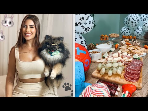 VLOG / PREPAREI UMA FESTA DE ANIVERSÁRIO PARA OS MEUS PETS (RECEITA DE BOLO PARA CACHORRO/COELHO)