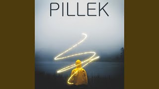 Pillek - Canvas Painted video