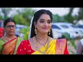 పున్నమి కోసం చేయలేనా ? | Jabilli Kosam Aakashamalle | Full Ep 151 | Zee Telugu | 01 Apr 2024 - Video