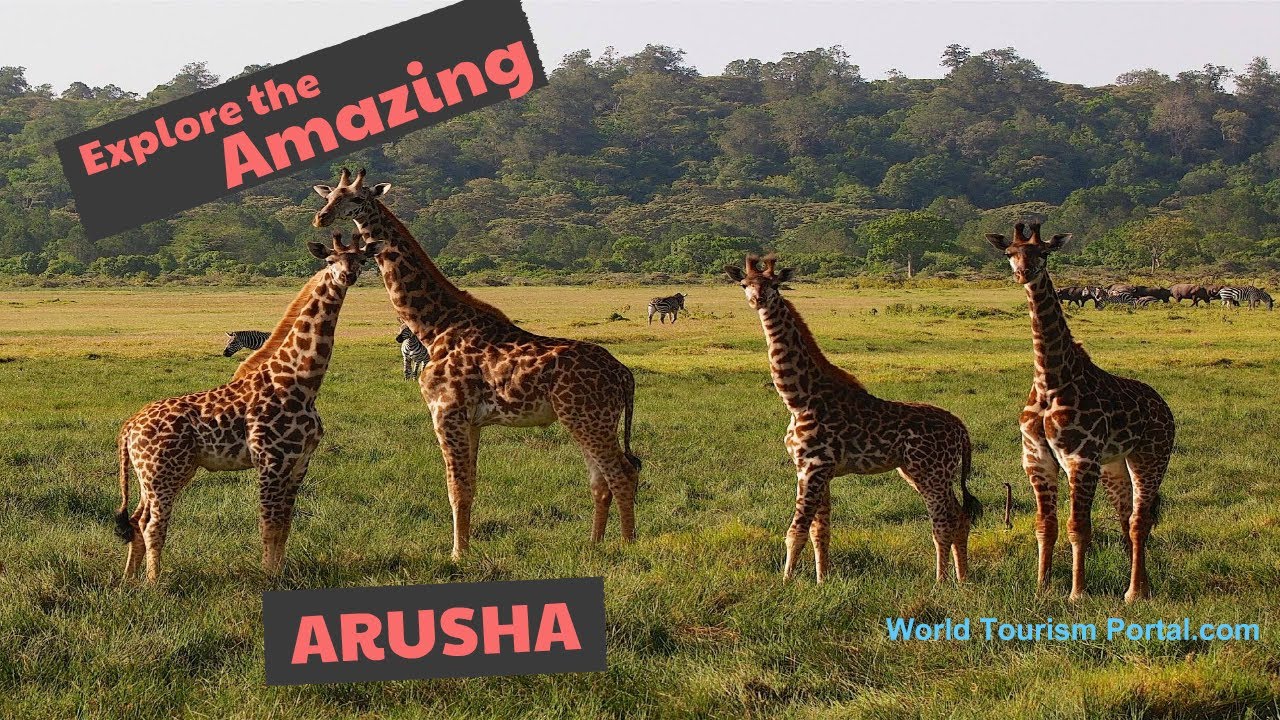 Arusha National Park