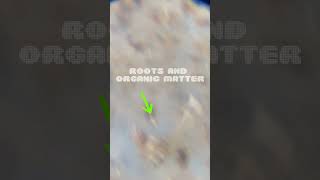 #garden #gardendesign #landscaping #gardenlandscaping #microscopy #soil #clay #sand #silt