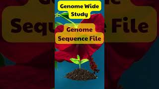 Genomic file #genome #foryou #shorts