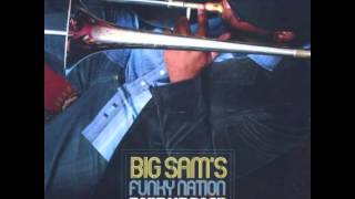 Big Sam's Funky Nation - Shake Yo Thang