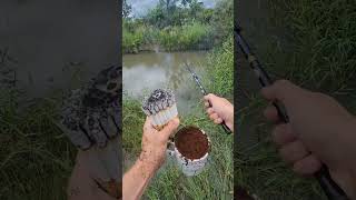 Download lagu Merokok Seperti Belum Pernah Sebelumnya, Apakah Ini Sungguh-sungguh? #fypシ゚ #fyp mp3