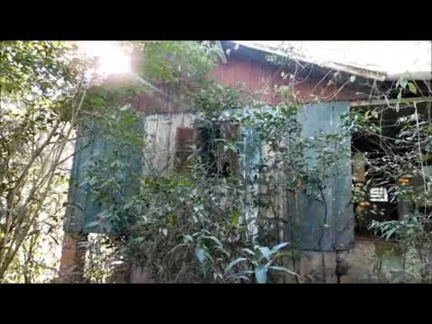 NAO DEVERIA TER VOLTADO NA CASA DAS ENTIDADES