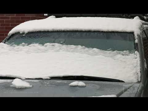 04-21-2021 Lexington, KY - Late Spring Snow In South!