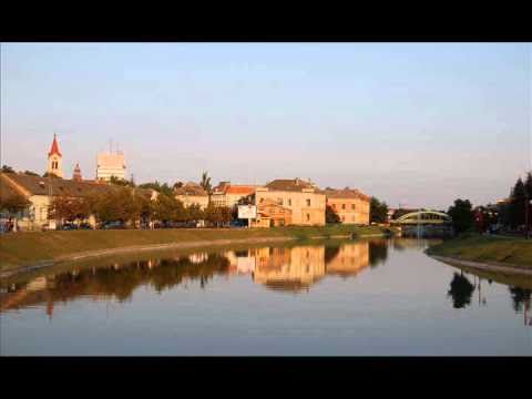 Aleksandar Aca karadžin - Ljubio sam seku u Bečkereku - Izvođač Duško Ljubićić