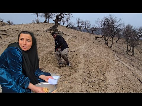 Rainy day and the joy of the Atabak family in the rain