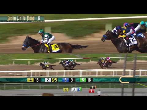 San Carlos Stakes (Grade II) - March 30, 2019