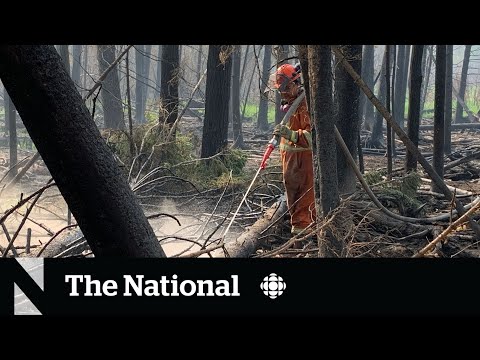 Indigenous firefighters help battle Alberta wildfires