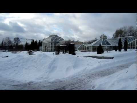 Snow in Kaisaniemi Botanical Garden, Hel