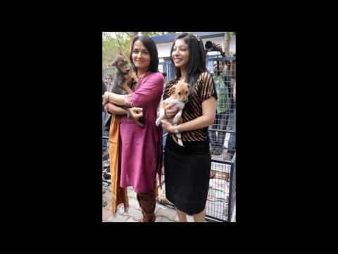 Actress Amala and Anuja Iyer at blue cross with dogs