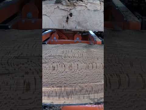 Quarter sawn black oak with Medullary Rays, tiger stripe, rays, flecks