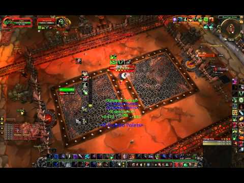 Brawler's Guild - Rank 9 Doctor FIST (Rogue PoV)