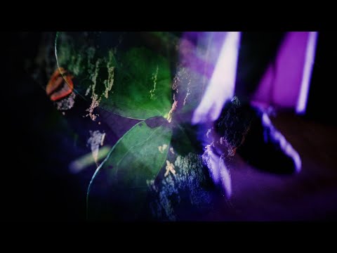 MNMT Live Stream - Free Movements : Ground