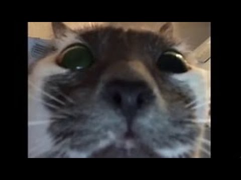 osu!mania top 9k L session :sob: