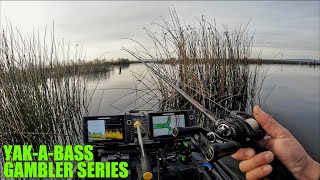 Yak-a-bass GAMBLER series - The California Delta