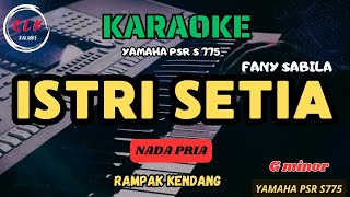 Download lagu ISTRI SETIA-FANY SABILA (NADA PRIA) mp3