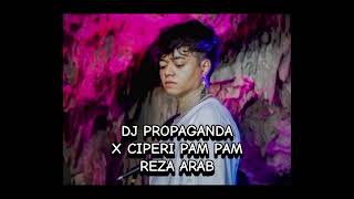 Download lagu DJ PROPAGANDA X CIPERI PAM PAM REZA ARAB mp3