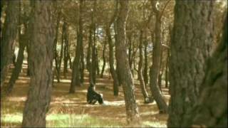 Amaral - Tarde de Domingo rara (VIDEOCLIP OFICIAL INEDITO)