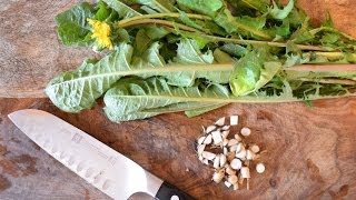 How to harvest, prepare, and use dandelion leaf and root for beauty and health