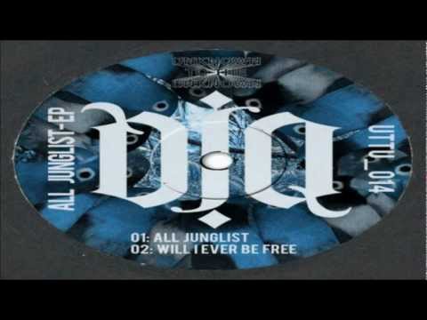 DJ Q - All Junglist