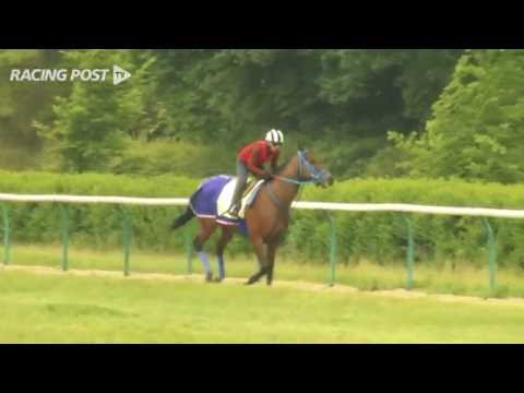 July Cup: Mongolian Saturday