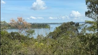PLANETA AZUL está ao vivo!