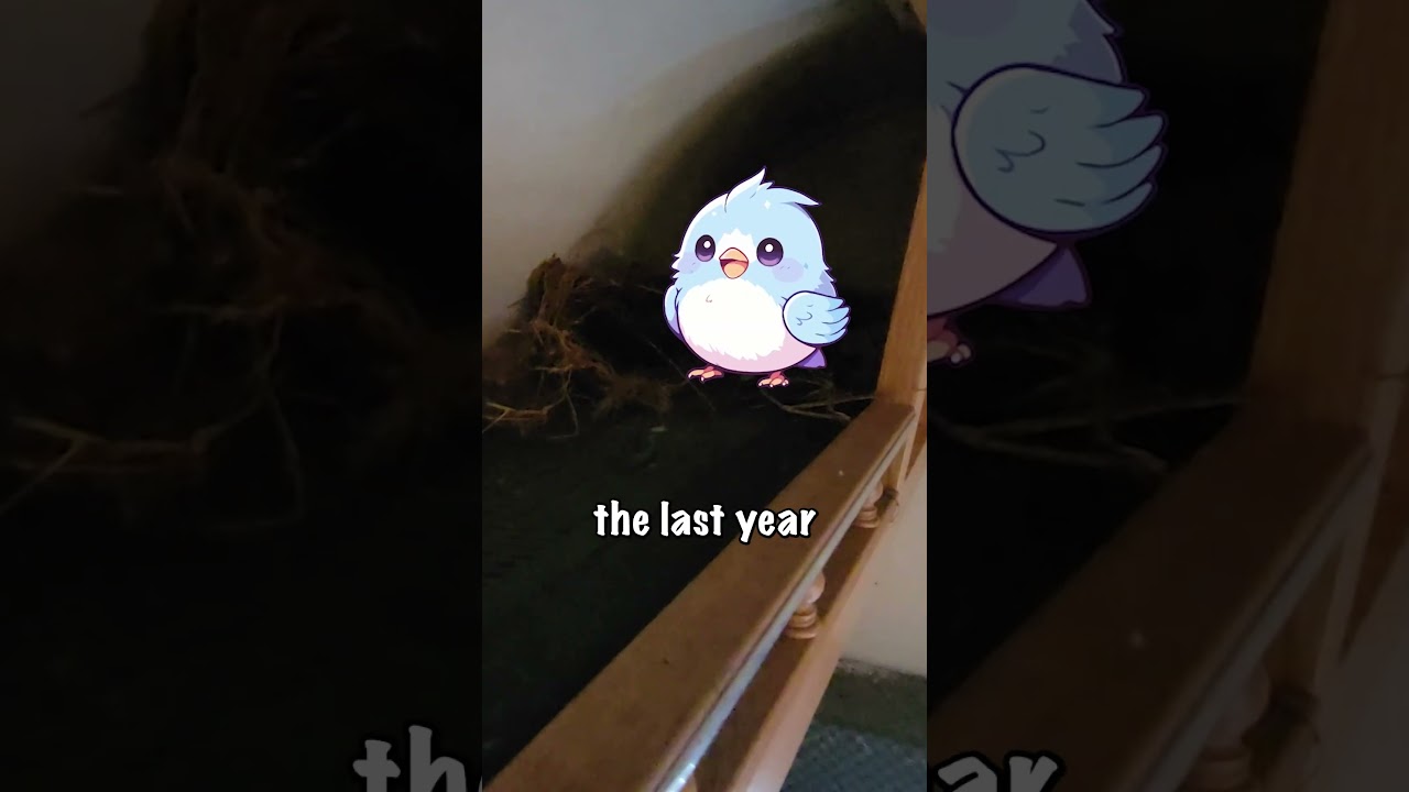 Mobile Studio from Scratch