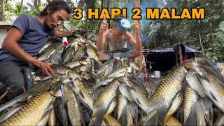 Download lagu Fishing Camp Adventure  | Bermalam Di Hutan Rimba Mencari Ikan Mahseer ,Cooking mp3 Download lagu Fishing Camp Adventure  | Bermalam Di Hutan Rimba Mencari Ikan Mahseer ,Cooking mp3