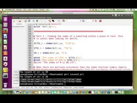 Module 2: String Manipulation With Perl