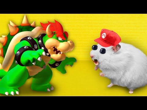 🍄 SUPER MARIO - Hamster Maze with Traps 😱[OBSTACLE COURSE] Game