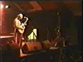 Al Stewart - Timeless Skies (Live in Brierley Hill 1998)